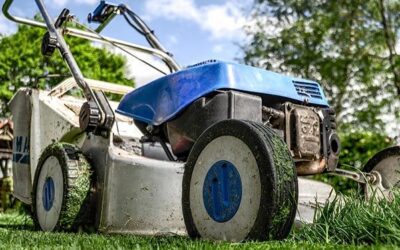 Transformă-ți grădina într-un paradis cu ajutorul utilajelor de grădină