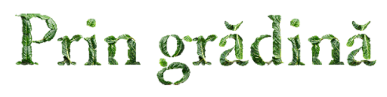 Prin grădină