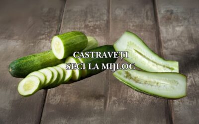 Castraveți seci la mijloc: Cauze și soluții pentru fructe suculente și crocante