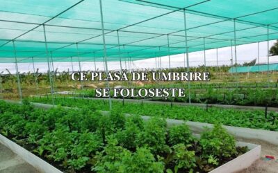 Ce plasă de umbrire se folosește la legume: Ghid complet pentru protecția culturilor în perioadele caniculare