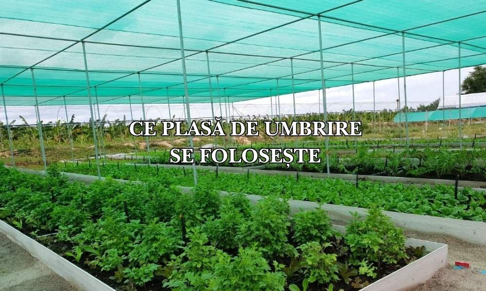 Ce plasă de umbrire se folosește la legume: Ghid complet pentru protecția culturilor în perioadele caniculare