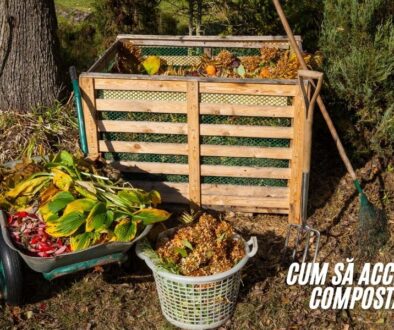 cum sa accelerezi compostarea