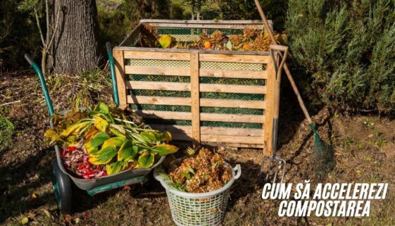 cum sa accelerezi compostarea