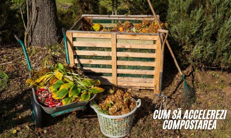 cum sa accelerezi compostarea cum sa accelerezi compostarea