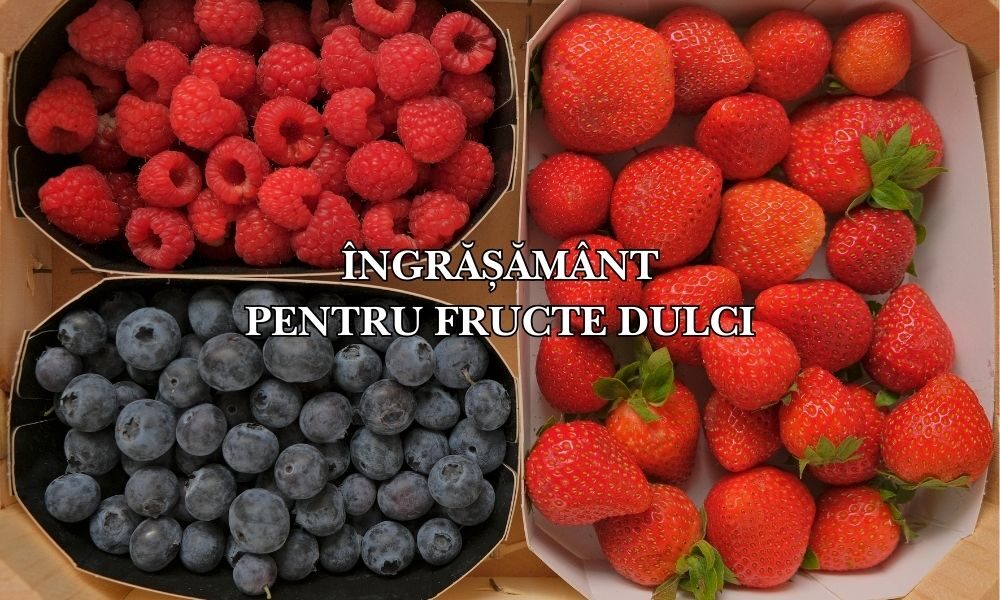 ingrasamant pentru fructe dulci ingrasamant pentru fructe dulci