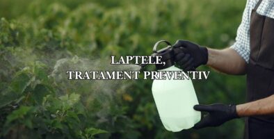 laptele tratament preventiv
