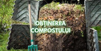 obtinerea compostului
