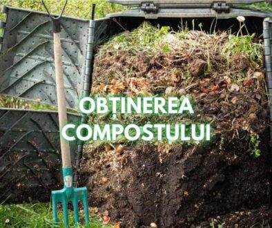 obtinerea compostului