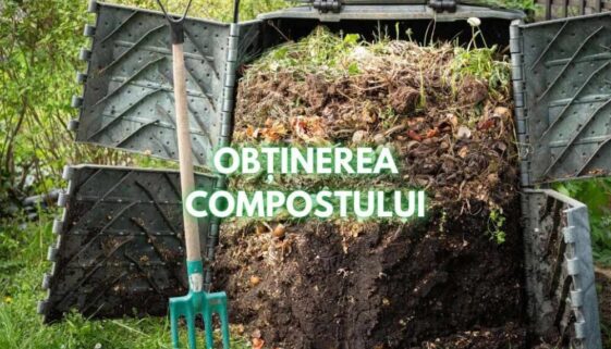 obtinerea compostului