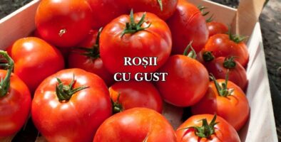 rosii cu gust