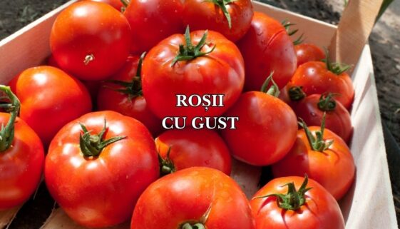 rosii cu gust
