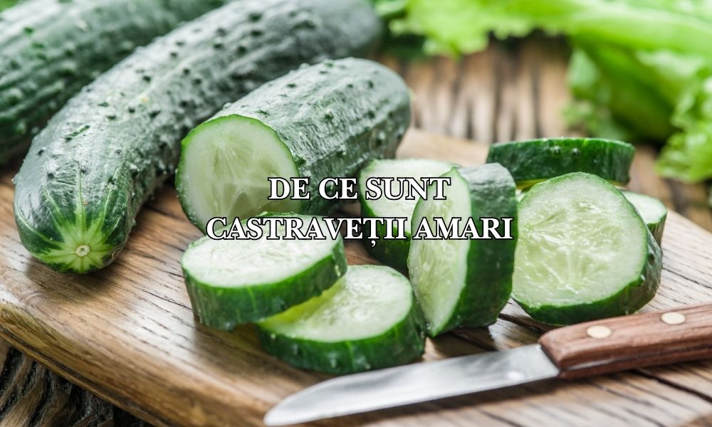 De ce sunt castraveții amari: cauze și soluții pentru o recoltă delicioasă